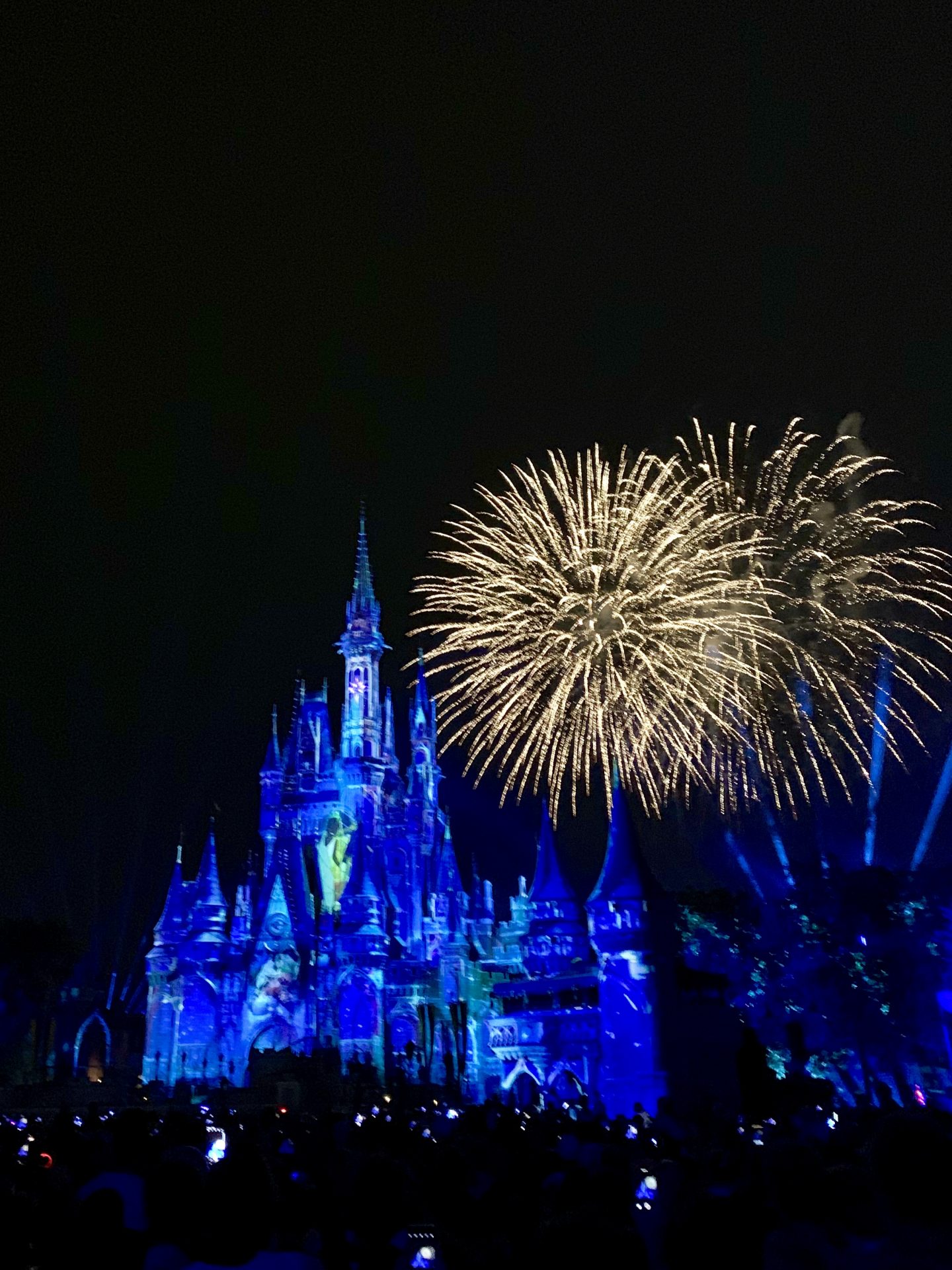 magic kingdom fireworks